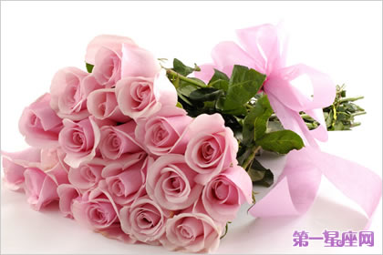 机场接人送什么花好?