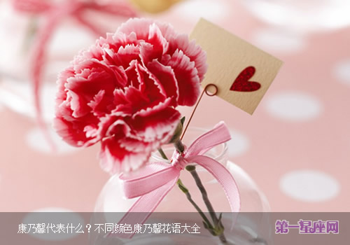 康乃馨代表什么?不同颜色康乃馨花语大全