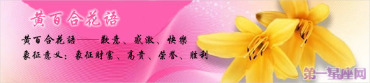 黄百合花语:送黄百合代表什么意思?