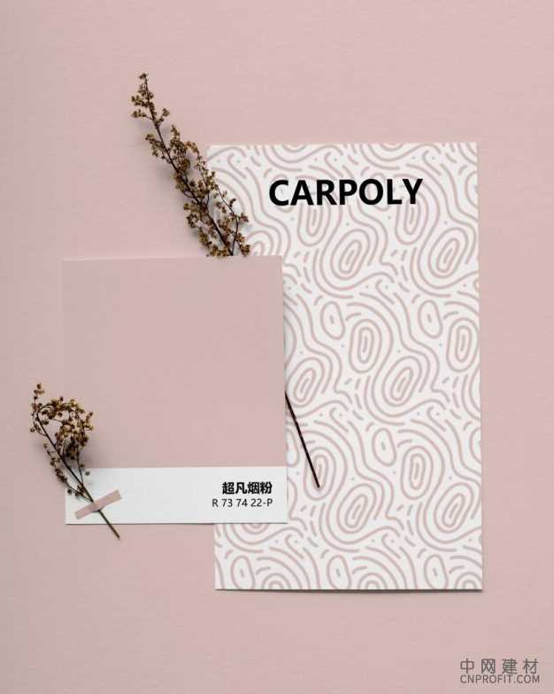 嘉宝莉2024流行色揭晓:超凡烟粉,掀起家居美学新风潮 中国建材网,cnprofit.com