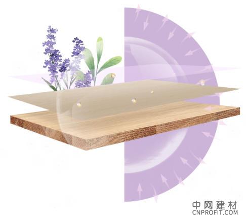 6.jpg 行业首创实锤!莫干山植物源释香板获权威认证,定义家居香氛新标杆 中国建材网,cnprofit.com